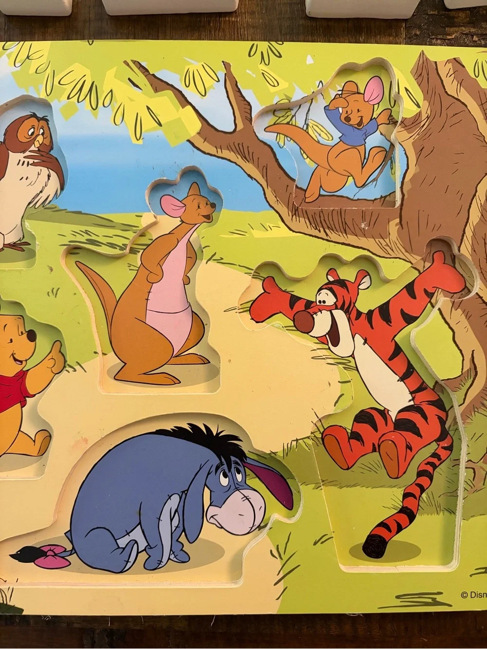 Melissa & Doug Disney Winnie the Pooh wooden chunky puzzle #7183 EXCELLENT!